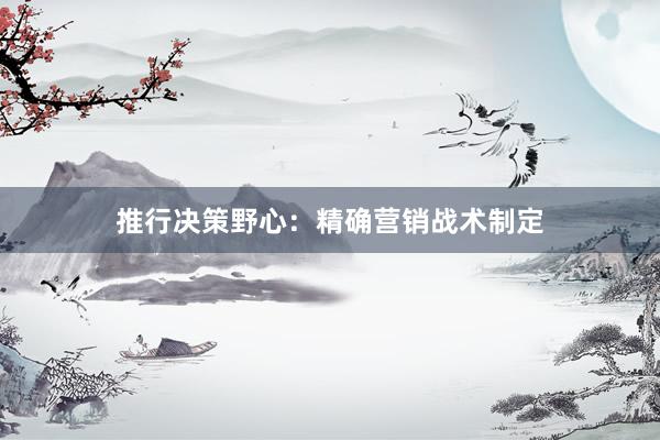 推行决策野心：精确营销战术制定